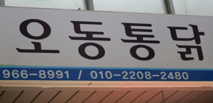 [오늘 N 2541회] 퇴근후N - 벽에 지폐가 붙어있는 통닭집의 비밀과 미나리 튀김” 맛집 소개 ‘오동통닭’