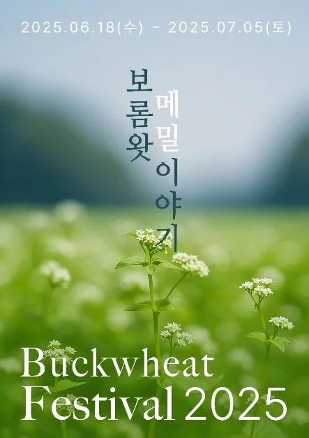보롬왓 메밀축제(축제기간 : 2025. 6. 18 ~ 7. 5)